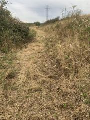Tough going on the terrain by this point - uneven, overgrown and lots of hidden holes